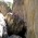 Enlavertical al desnudo  - Los "miembros" de Enlavertical disfrutan de las frías pozas del sector La Jarra en Buñol 