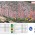 Croquis Toix  - Croquis cogido de http://montanamediterranea.blogspot.com 