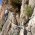 Travesía  - Will en la travesía de salida del segundo largo. Se puede apreciar el estado de los seguros antes de su restauración. Viejos espits de dudoso aspecto que han sido sustituidos por parabolts. 