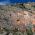 Peña del Castellet 