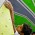 Escalada joven  - Campeonato escalada en Bloque y dificultad Vértigo 
