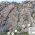 Croquis Sector Truli  - Visto en vizcares.com 