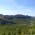 Panorámica desde el Divino  - Al fondo a la izquierda el Puig Campana y en segundo plano las paredes del barranc de l'Arc. 