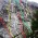Pared central 