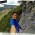 tebi_rg