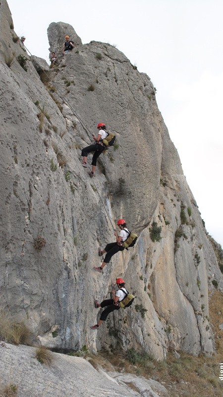 rapel 20 m 