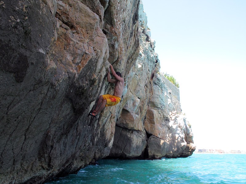 Guillem dandolo todo 