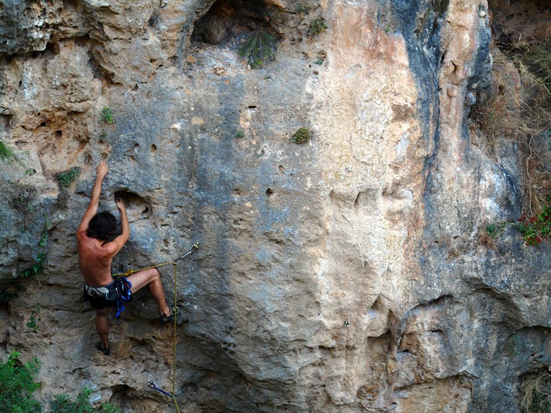 La vuelta al cole  - Carles volviendo a la palestra... que duro es volver al cole 