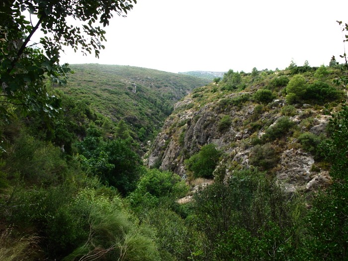 Verde, verde...  - Vista desde el sector Puente Natural 