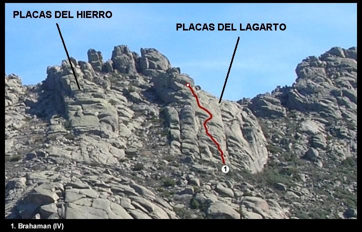 Lagarto 