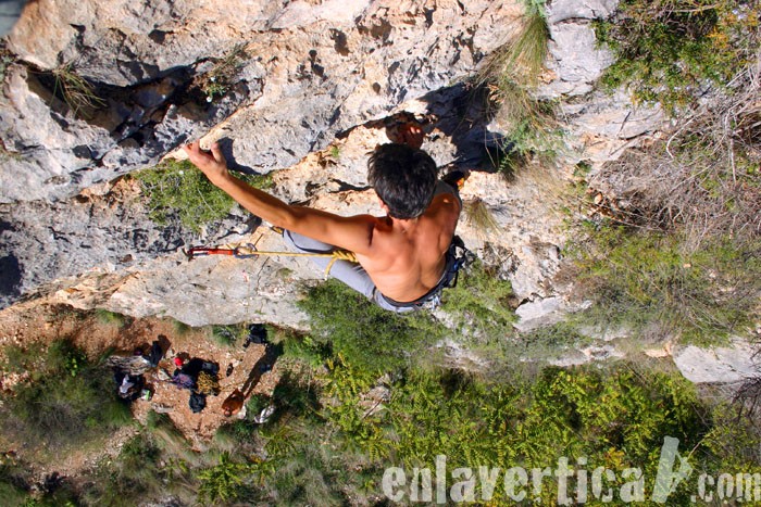 Calentando entre la maleza  - Para empezar el día calentamos en el extremo derecho de La Paret del Dipòsit. Merli en toma cenital. 