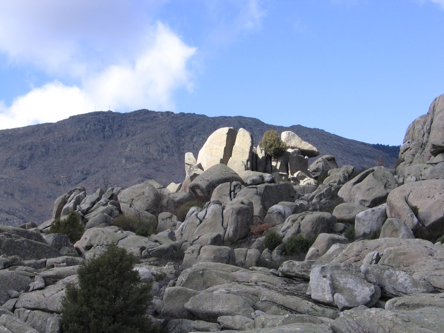 Punta Bífida 2 