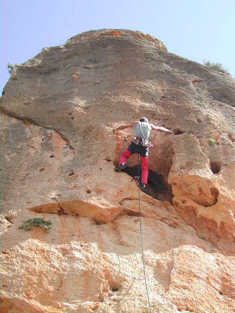 Mola Javier 