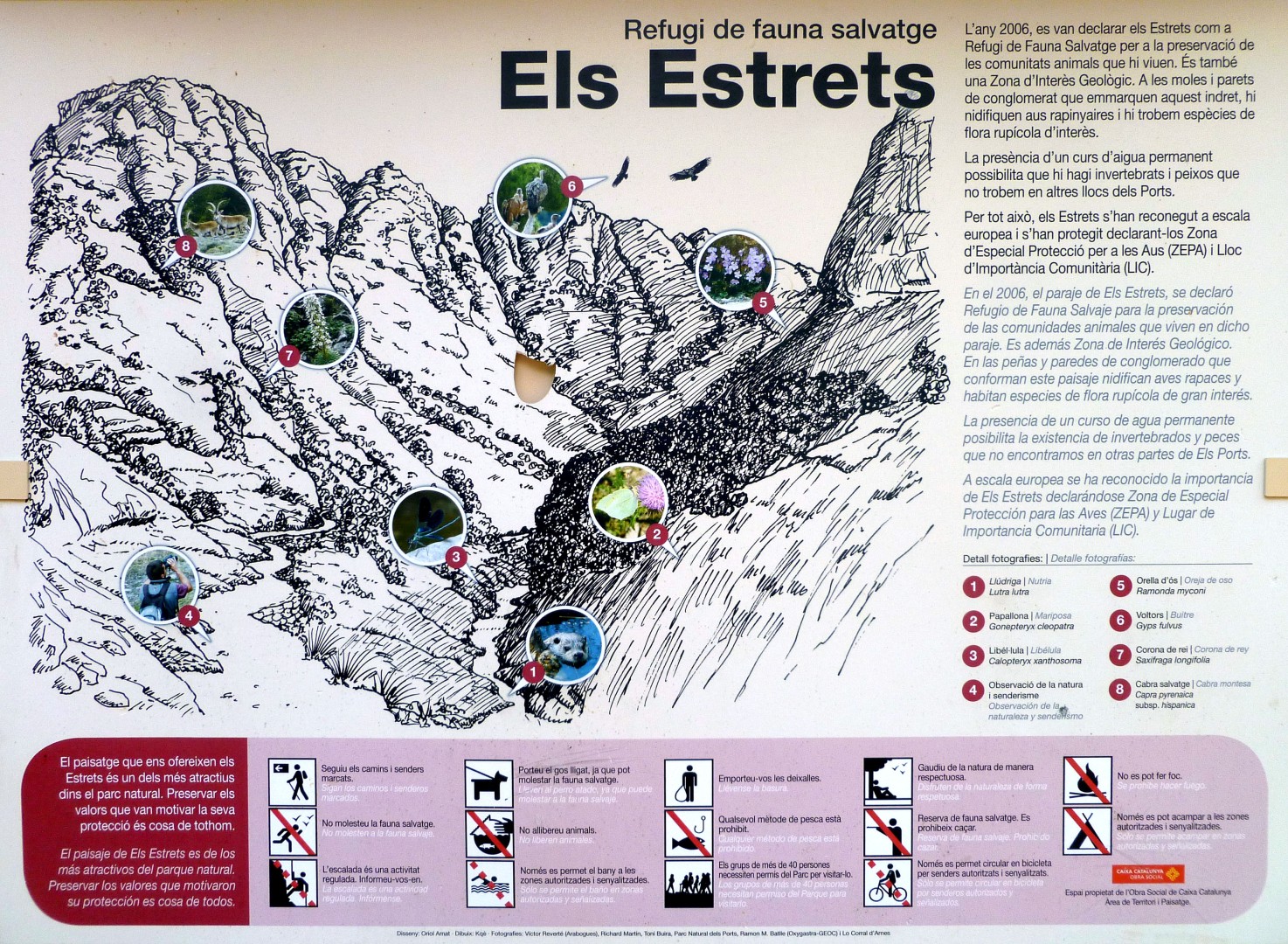 Refugio de fauna salvaje  - Cartel donde se explica la fauna i flora que podemos encontrar en este paraje 