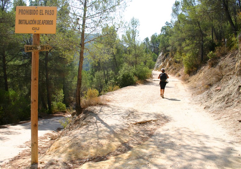 Camino de aproximación  - Sendero paralelo al río Cabriel, dos kilómetros antes de llegar al Cuchillar. 