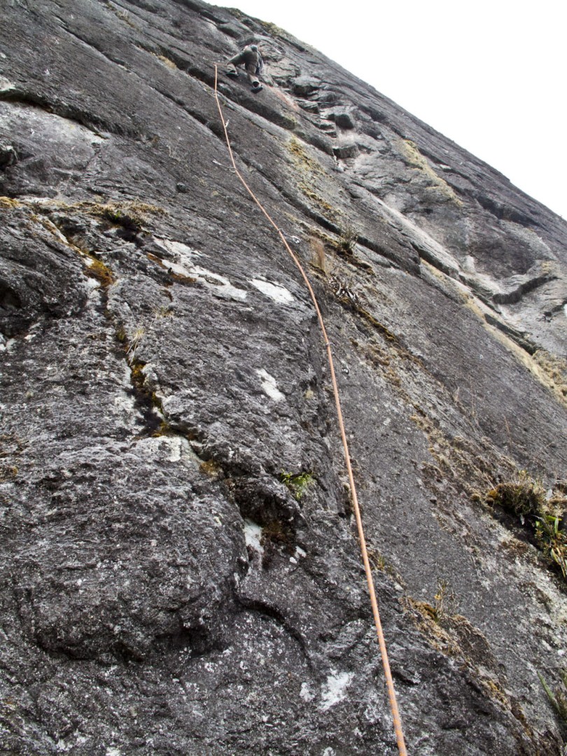 Bagre en 6c  - Pura placa, placa, placa 