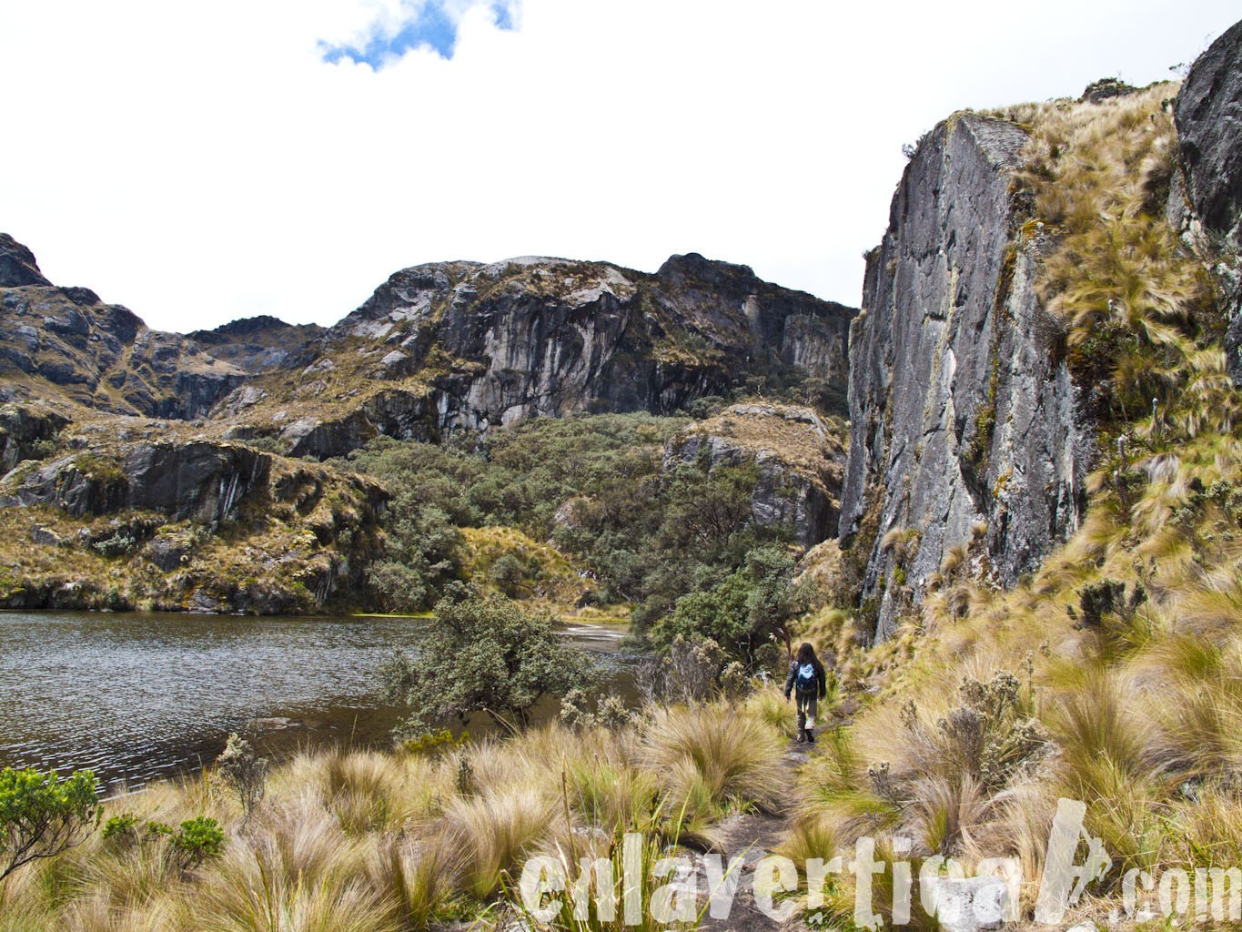 Sector Toreadora  - Daniel Bagre llegando a la pared del sector Toreadora. 