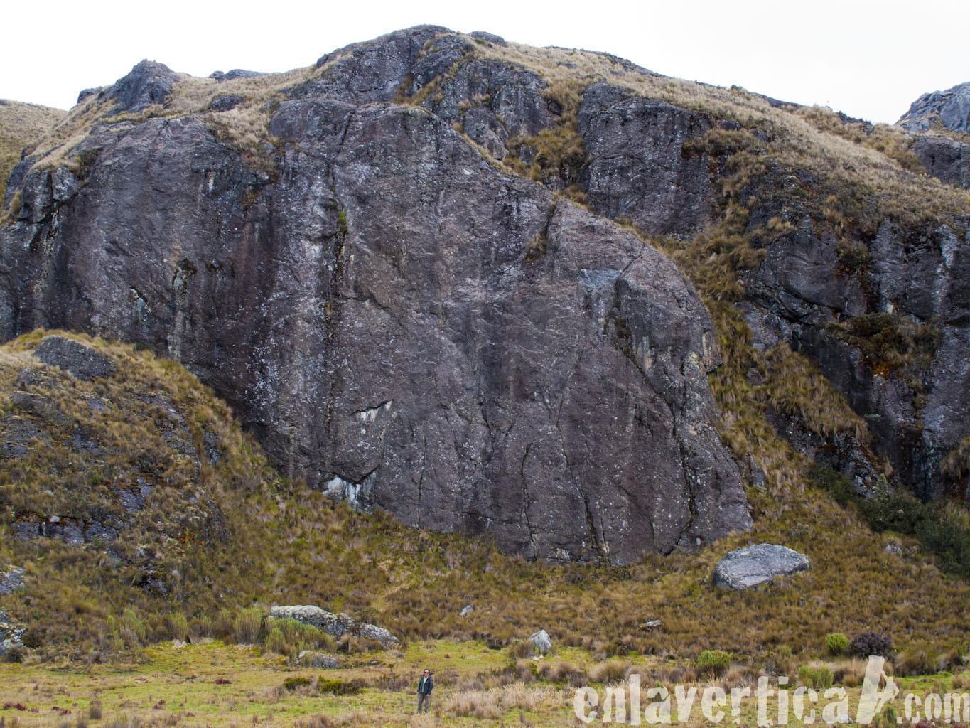 Visata Chica toreadora 