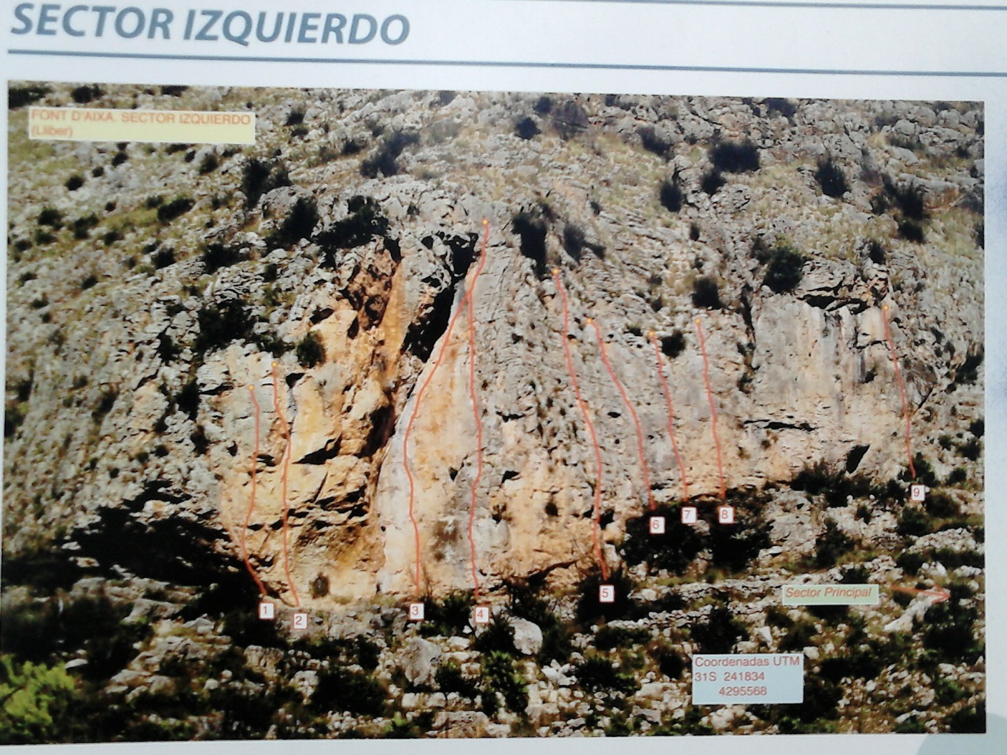 Sector Izquierdo 
