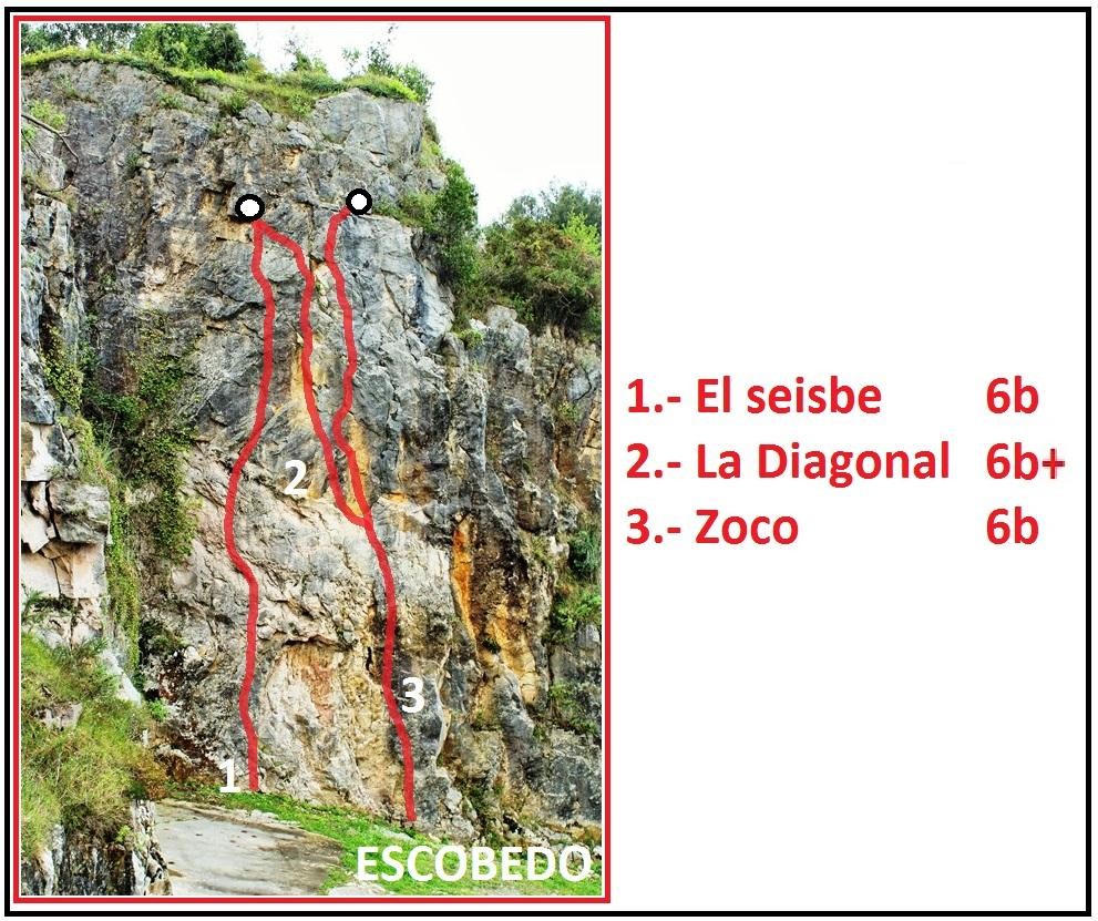 Sector seisbes 