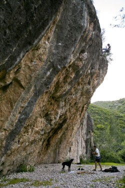El descenso