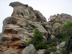 Salida