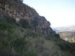 Vista lateral