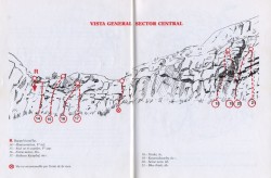 Sector Central 