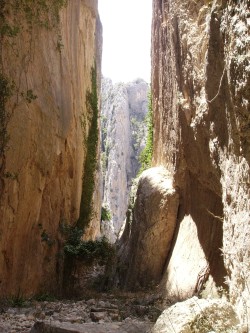Barranco de las Hiedras