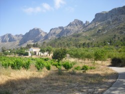 Cresta