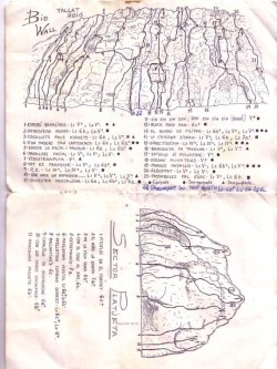 BIG WALL+ PLATJETA  - Sectors de Big Wall (llargs de paret) i Platjeta (sector d'esportiva molt recomanable en tots els aspectes) 