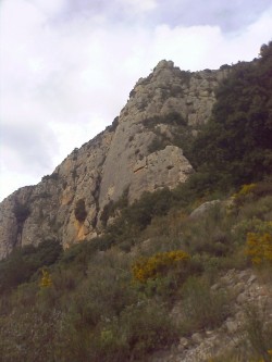 vista real