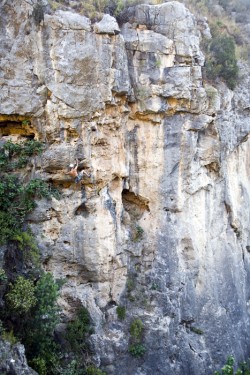 La variante