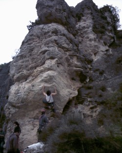 La Tuta
