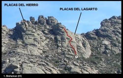 Lagarto 