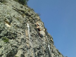 Altet 