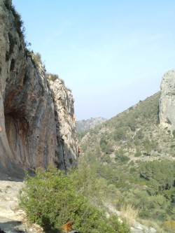 Altet 