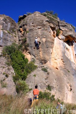 Fent el porc en Montesa