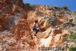 Merli fent la Tarambana