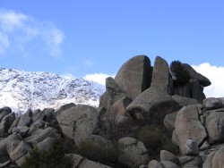 Punta Bífida 1
