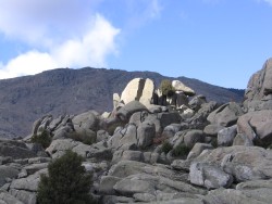 Punta Bífida 2