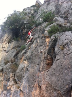 Adri en Basilus