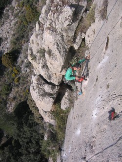 Obrint el sector Mirall