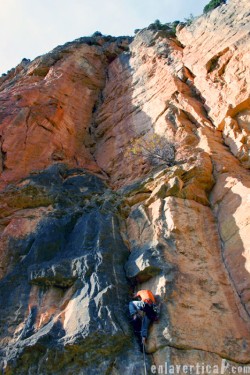 panorámica vertical