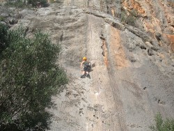 Elendigliches