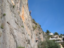 Alcalali