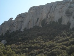 Lagarto y elefante (Peñartea)