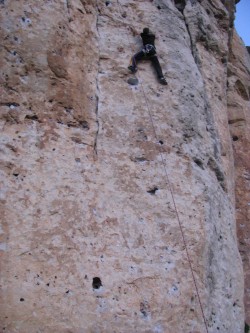 cabeza buque 7a