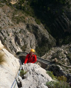 Ramón asoma