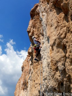 7º largo majestuoso